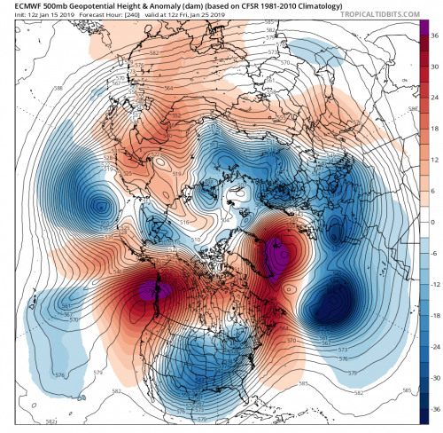 01152019 12Z 240 ecmwf_z500a_nhem_11.png
