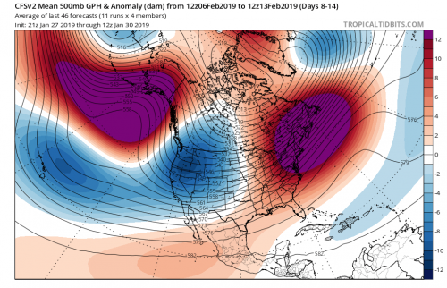 01302019 12Z Week 2 CFSV2 cfs-avg_z500aMean_namer_2.png