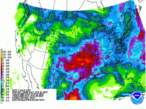 06012019 20Z 7 Day QPF p168i.gif