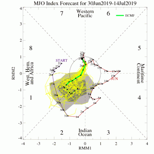 06302019 ECMF_phase_51m_small.gif