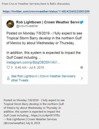 Crown Weather Services Update 07 08 19.JPG