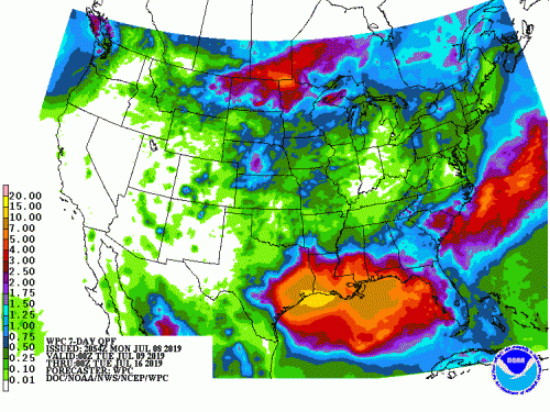 07082019 2045Z 7 Day QPF p168i.gif