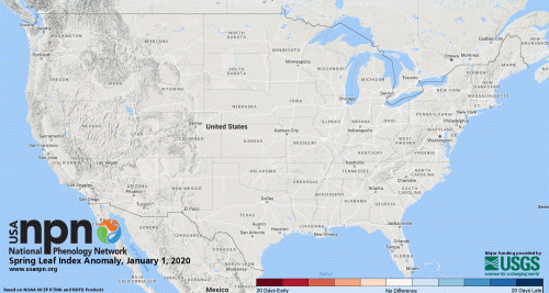 six-leaf-index-daily-anomaly-2020.gif