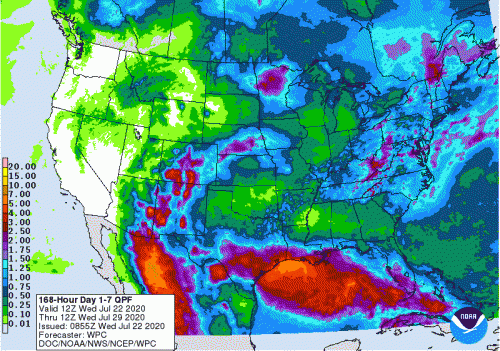 WPC QPF