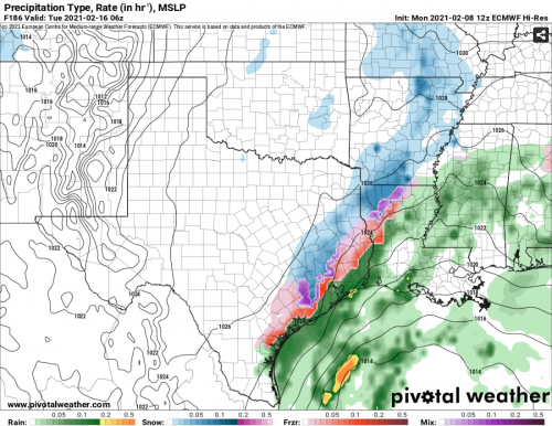 Screenshot_2021-02-08 Models ECMWF Hi-Res — Pivotal Weather(2).png