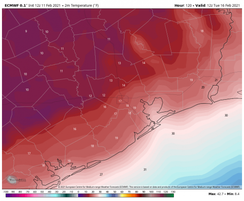 ecmwf-deterministic-houston-t2m_f-3476800.png