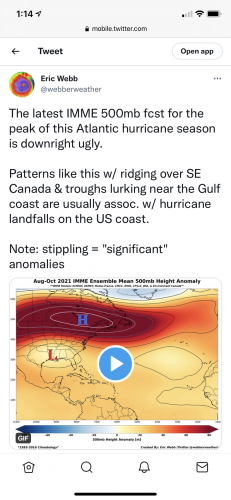 D0AE69C6-C1CC-4B34-8D9E-B753A47F7F9D.png