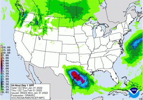 WPC 24-HOUR DAY 1 QPF - 1.31.2022.gif