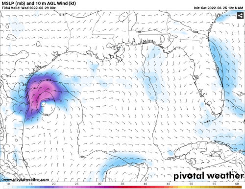 Screenshot 2022-06-25 at 09-51-59 Models NAM — Pivotal Weather.png