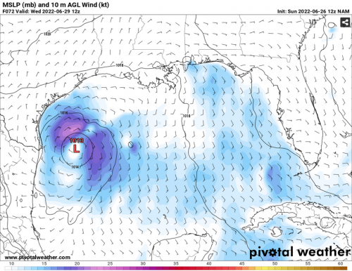 Screenshot 2022-06-26 at 10-09-13 Models NAM — Pivotal Weather.png