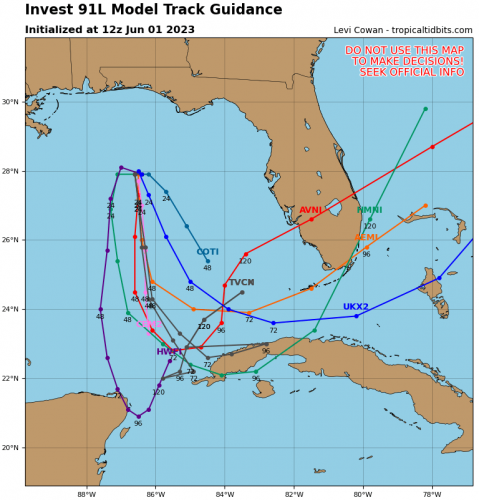 91L_tracks_latest.png