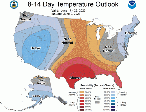 814temp.new-1.gif