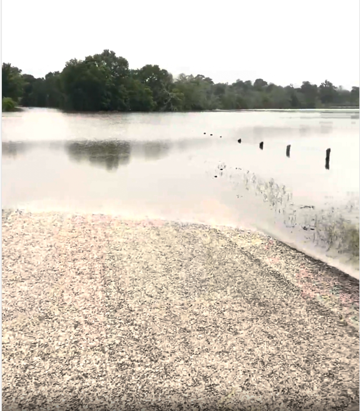 Flooding - Rock Praire Road.jpg