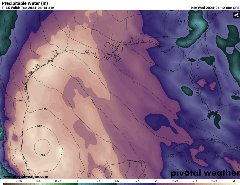 Screenshot 2024-06-11 at 23-27-38 Models GFS - Pivotal Weather.png
