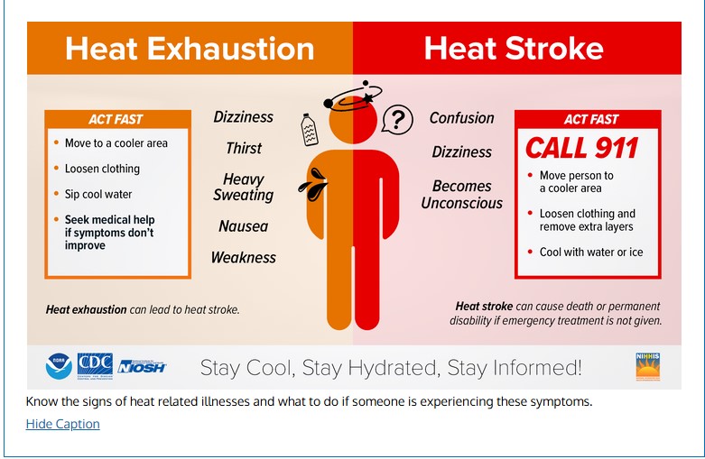 Heat Ilnesses.jpg